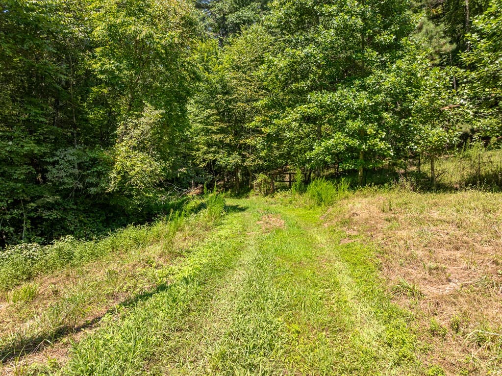 TR 3B Wolf Pen Gap Road, Ellijay GA 30540 - Photo