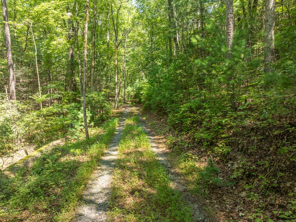 TR 3B Wolf Pen Gap Road, Ellijay GA 30540 - Photo
