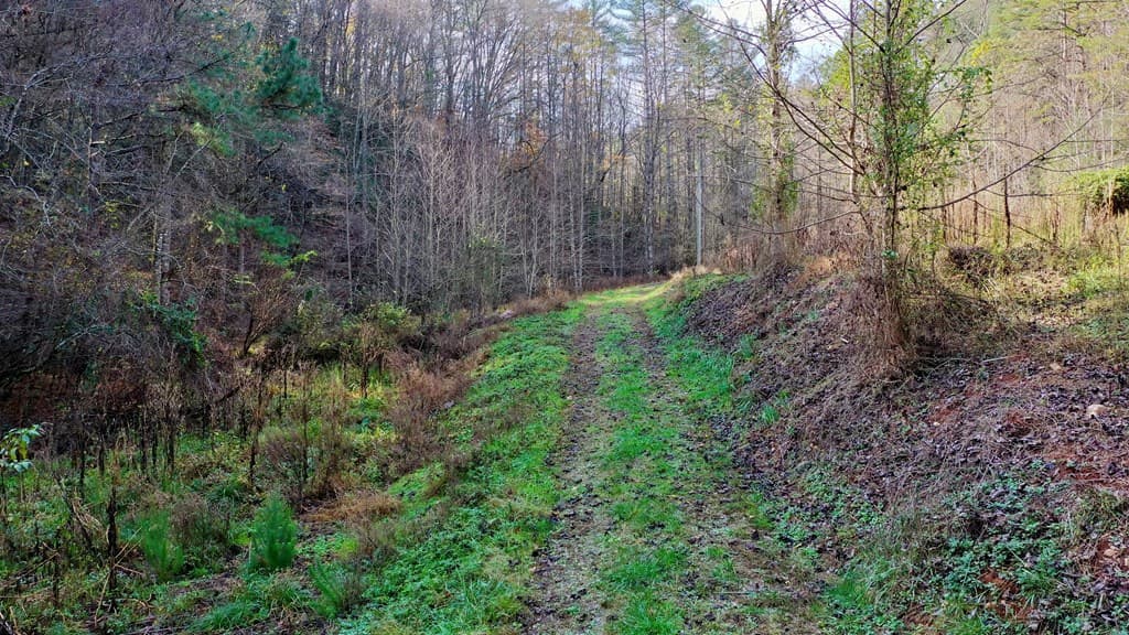 TR 3B Wolf Pen Gap Road, Ellijay GA 30540 - Photo