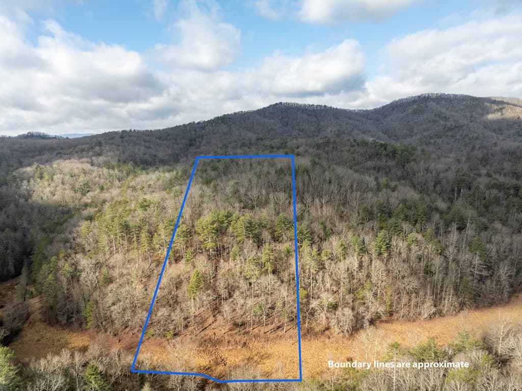TR 3B Wolf Pen Gap Road, Ellijay GA 30540 - Photo