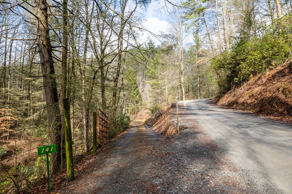 TR 3B Wolf Pen Gap Road, Ellijay GA 30540 - Photo