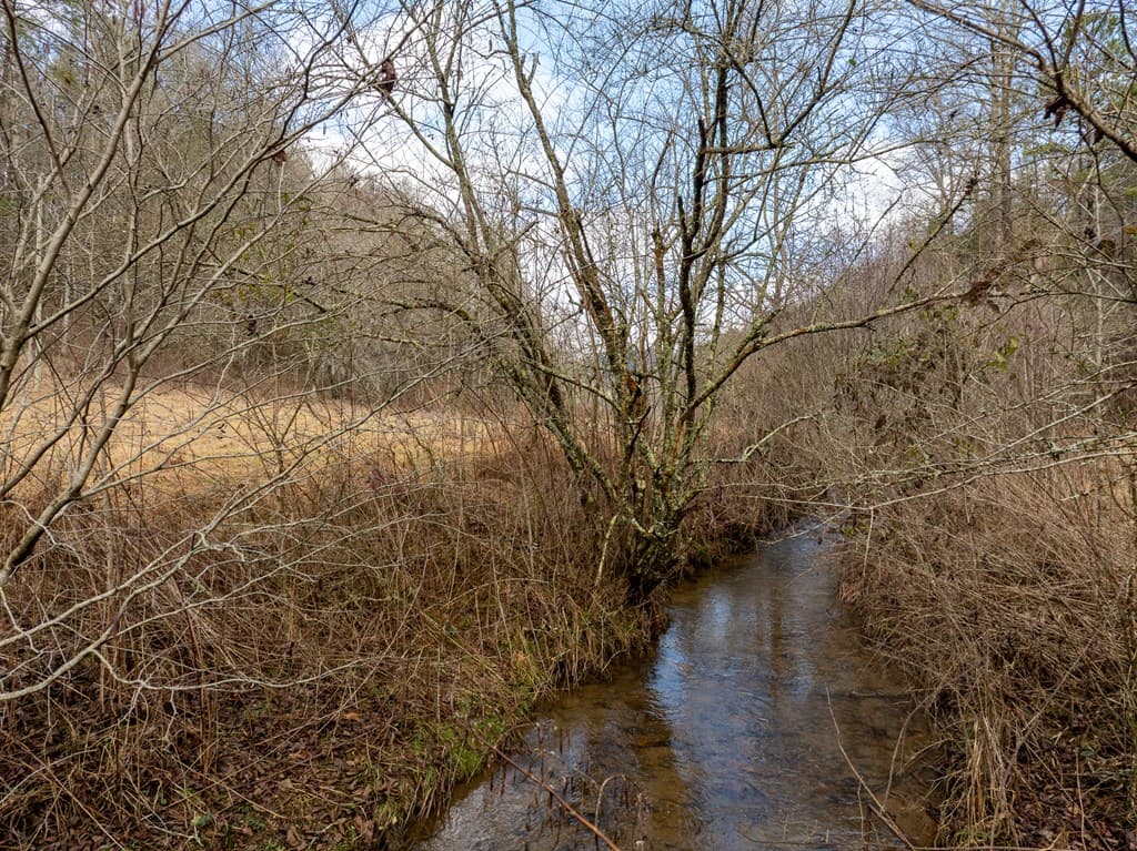 TR 3B Wolf Pen Gap Road, Ellijay GA 30540 - Photo