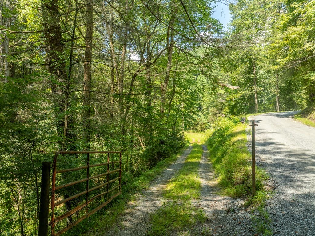 TR 3B Wolf Pen Gap Road, Ellijay GA 30540 - Photo