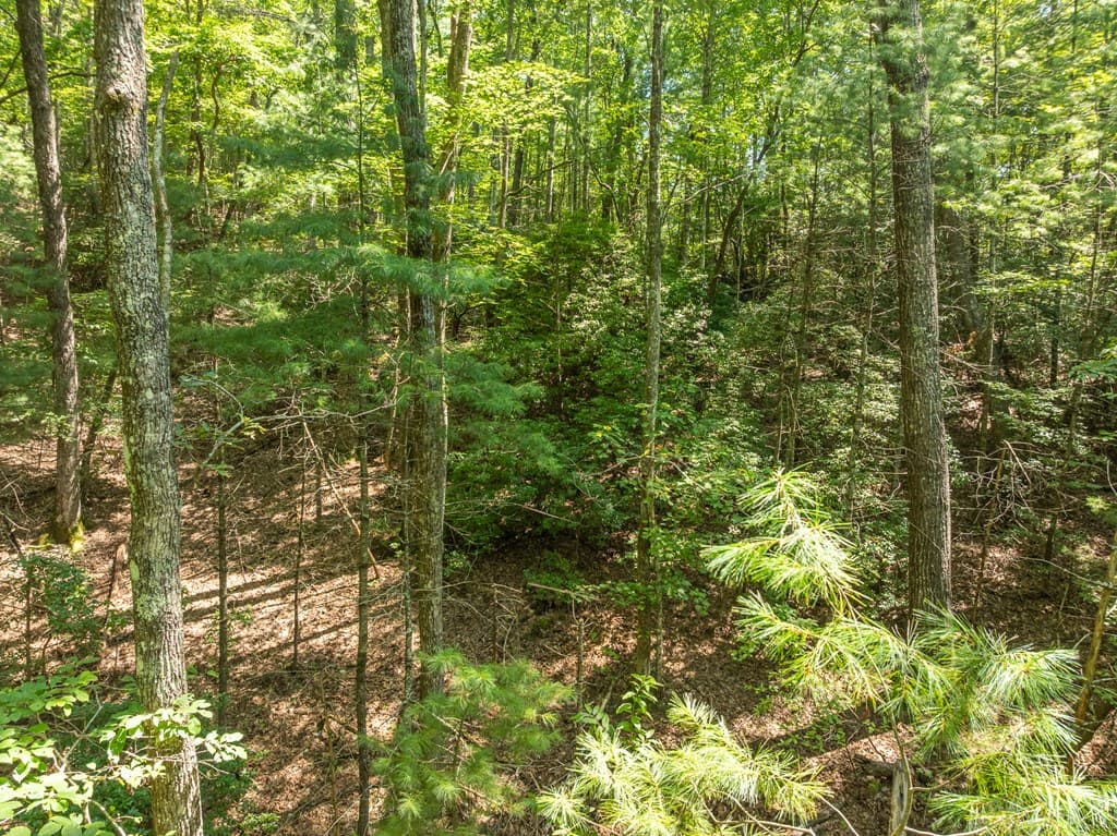 TR 3B Wolf Pen Gap Road, Ellijay GA 30540 - Photo