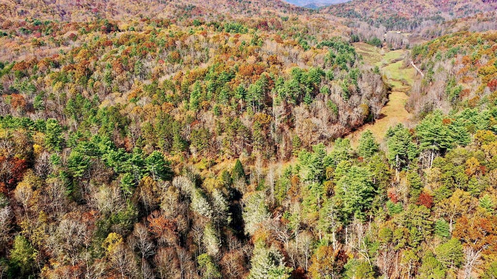 TR 3B Wolf Pen Gap Road, Ellijay GA 30540 - Photo