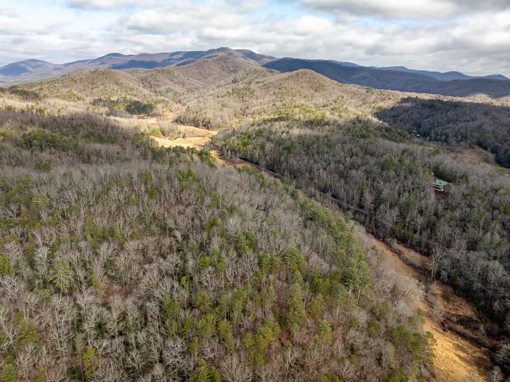 TR 3B Wolf Pen Gap Road, Ellijay GA 30540 - Photo