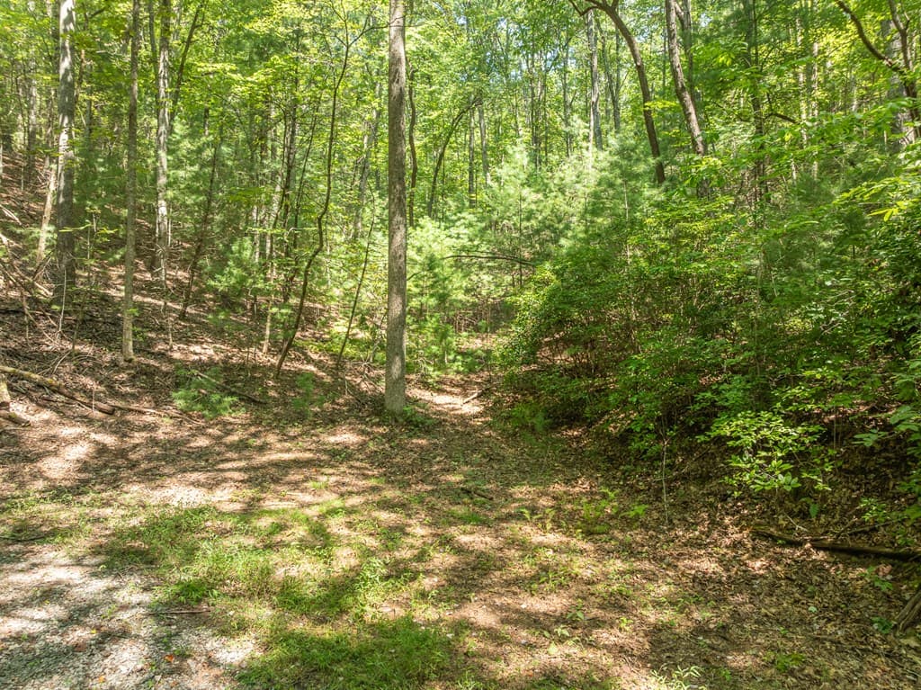 TR 3B Wolf Pen Gap Road, Ellijay GA 30540 - Photo