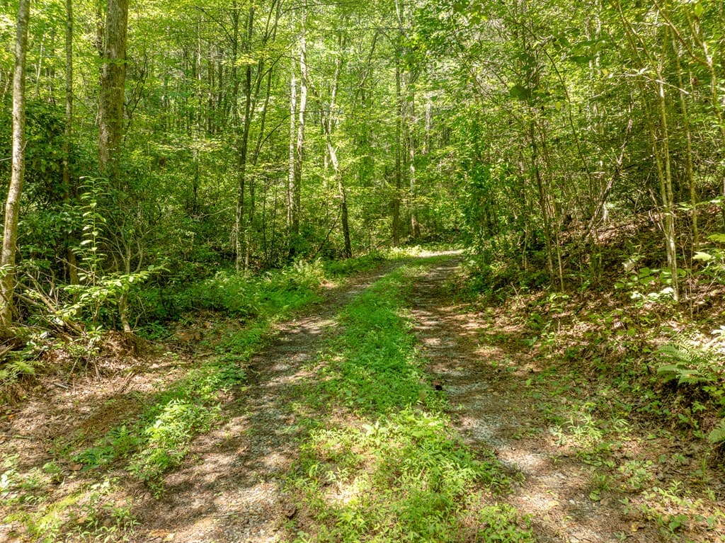 TR 3B Wolf Pen Gap Road, Ellijay GA 30540 - Photo