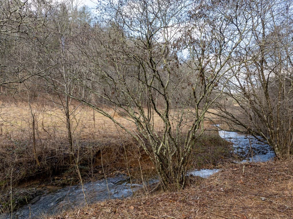 TR 3B Wolf Pen Gap Road, Ellijay GA 30540 - Photo
