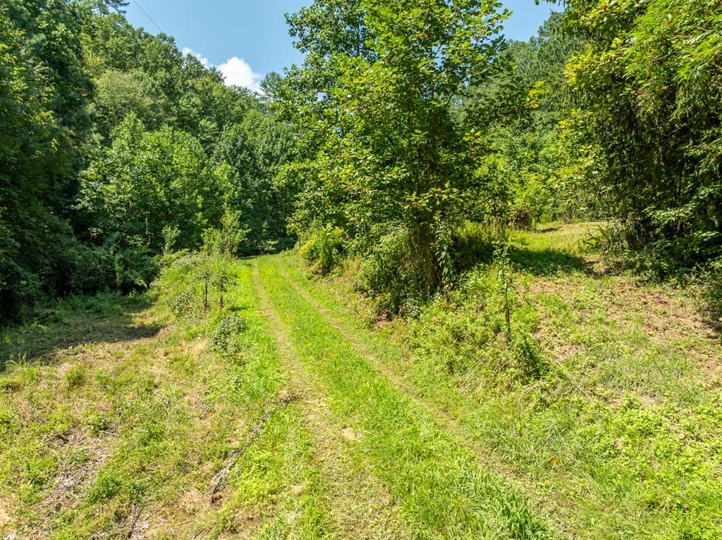 TR 3B Wolf Pen Gap Road, Ellijay GA 30540 - Photo
