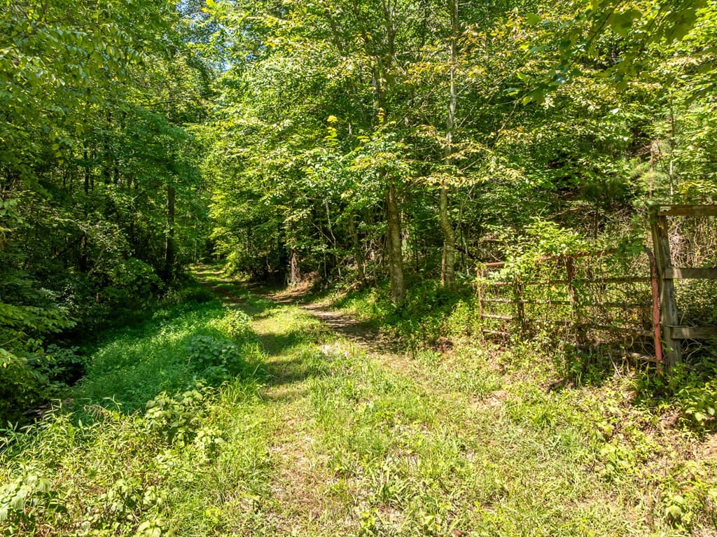 TR 3B Wolf Pen Gap Road, Ellijay GA 30540 - Photo