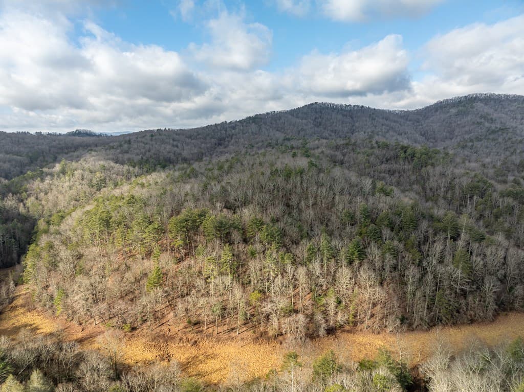 TR 3B Wolf Pen Gap Road, Ellijay GA 30540 - Photo
