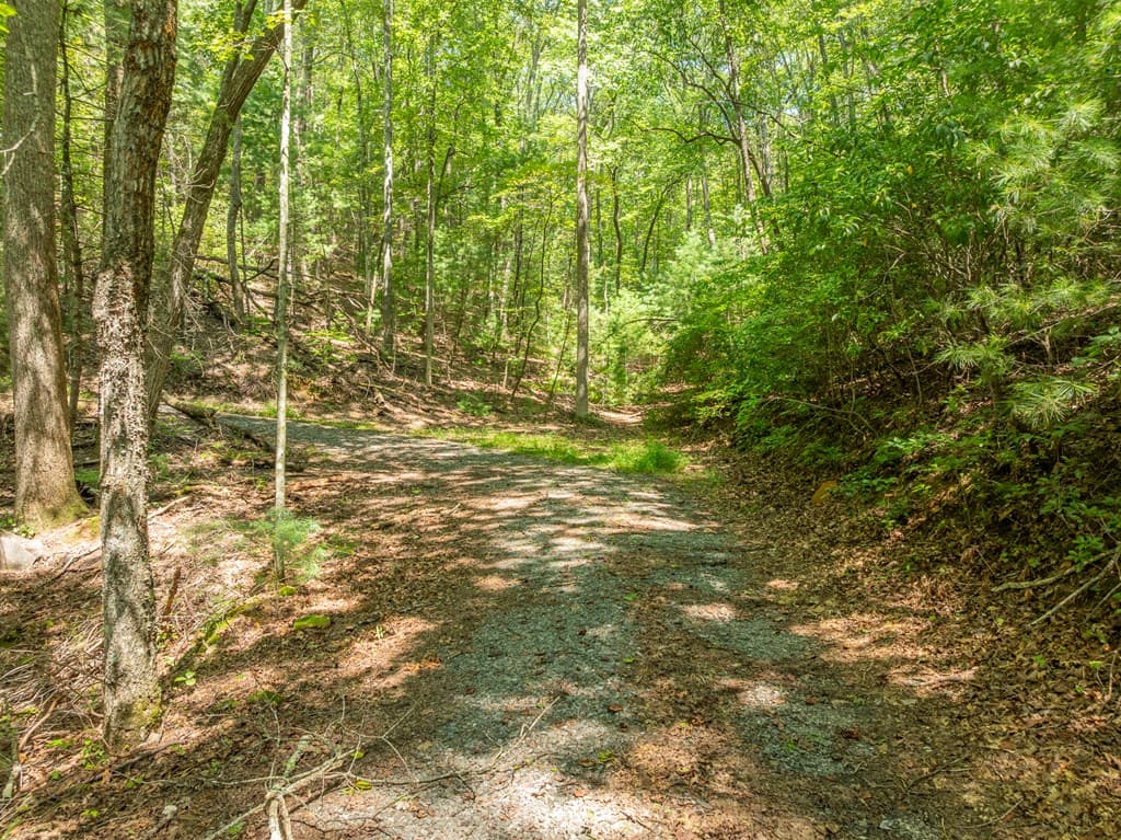 TR 3B Wolf Pen Gap Road, Ellijay GA 30540 - Photo