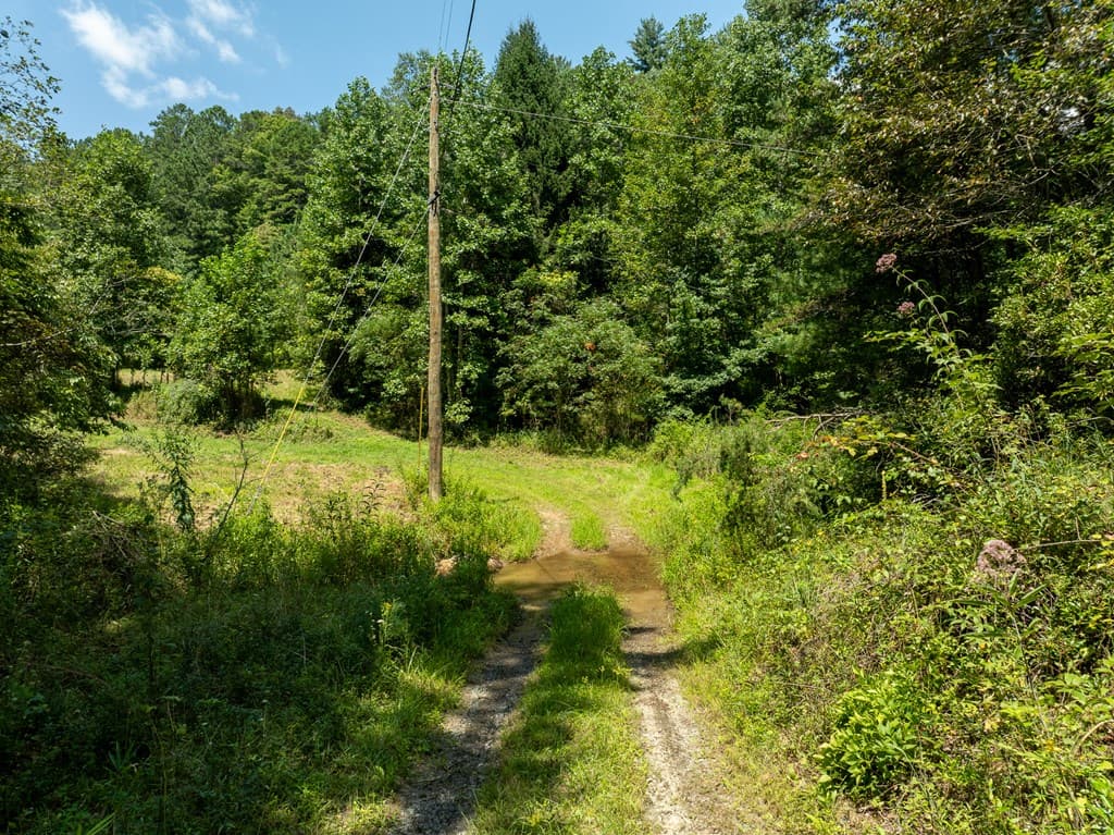 TR 3B Wolf Pen Gap Road, Ellijay GA 30540 - Photo