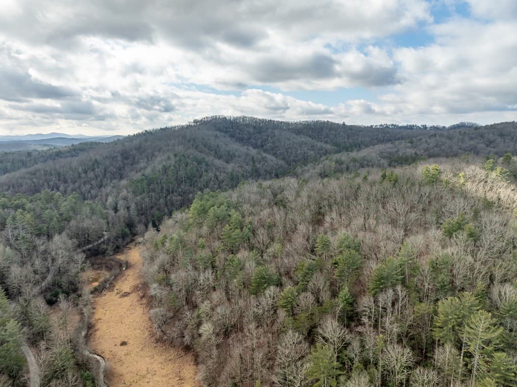 TR 3B Wolf Pen Gap Road, Ellijay GA 30540 - Photo