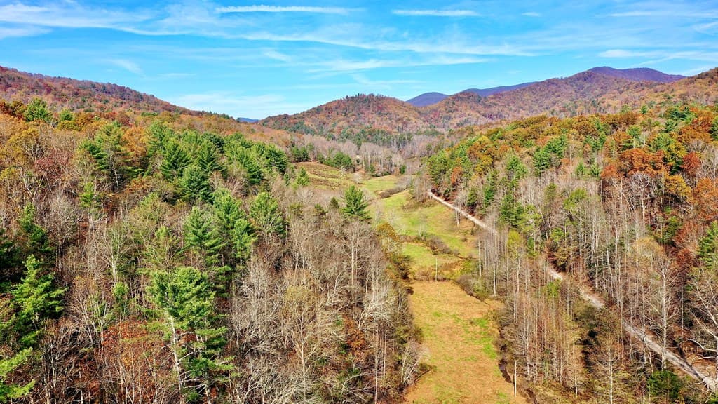 TR 3B Wolf Pen Gap Road, Ellijay GA 30540 - Photo