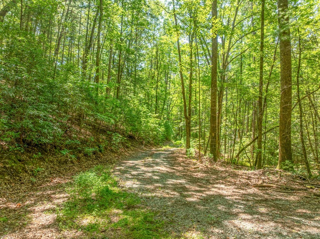 TR 3B Wolf Pen Gap Road, Ellijay GA 30540 - Photo