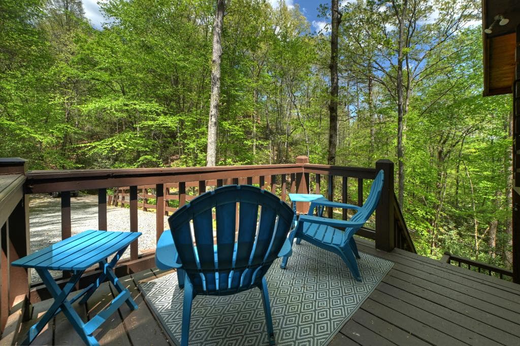 488 Joann Sisson Road, Blue Ridge GA 30513 - Photo