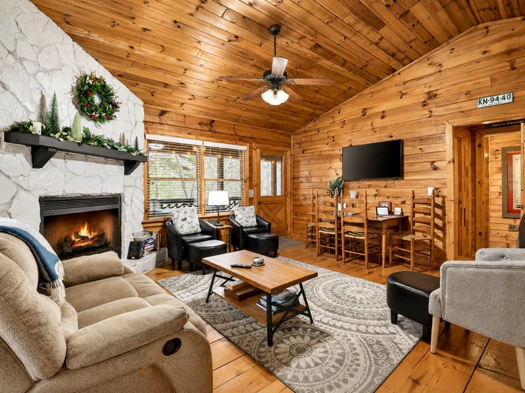 488 Joann Sisson Road, Blue Ridge GA 30513 - Photo