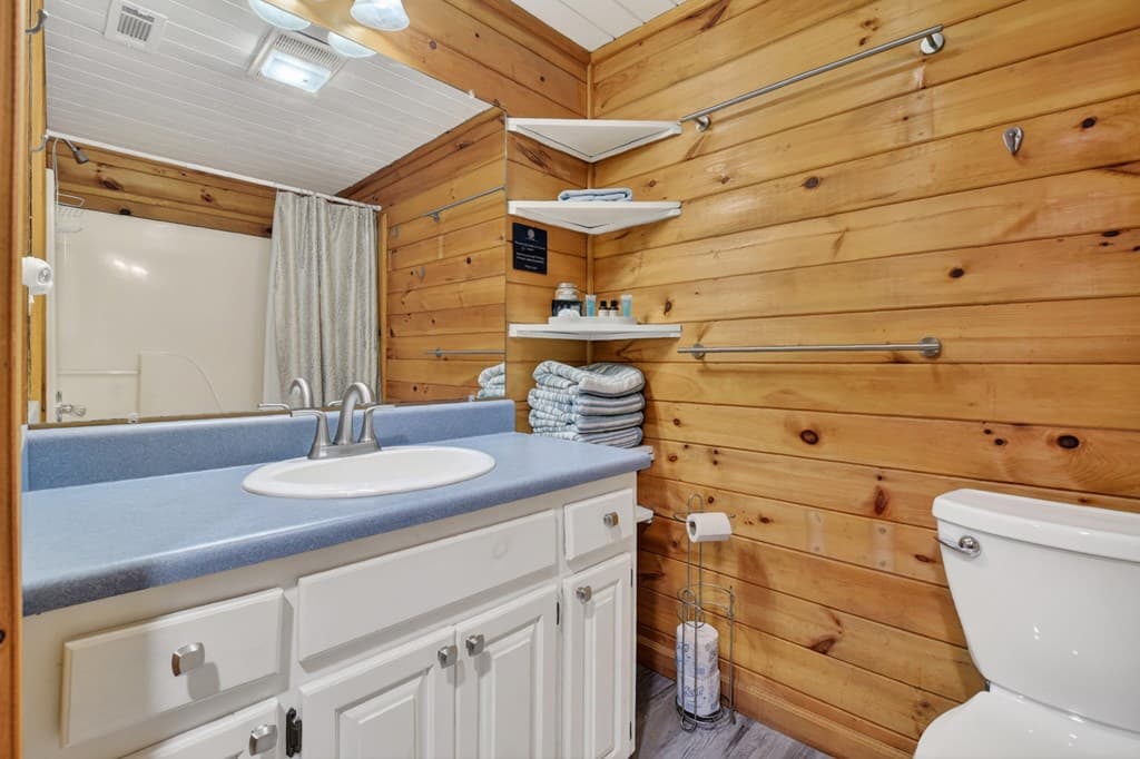 488 Joann Sisson Road, Blue Ridge GA 30513 - Photo