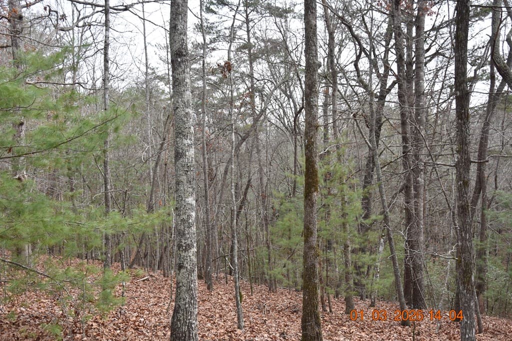 167 Swaims Road, Hayesville NC 28904 - Photo