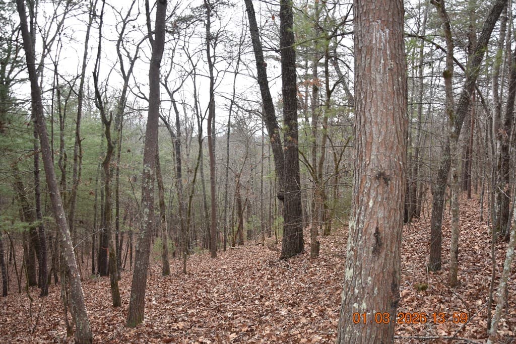 167 Swaims Road, Hayesville NC 28904 - Photo