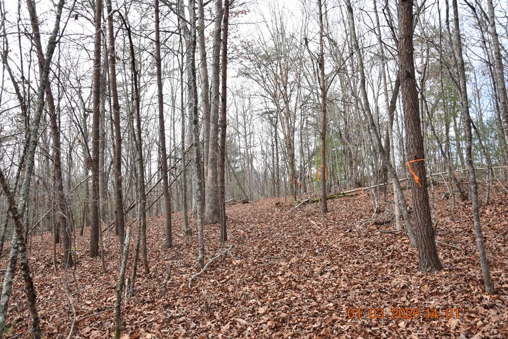 167 Swaims Road, Hayesville NC 28904 - Photo