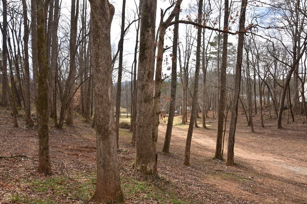167 Swaims Road, Hayesville NC 28904 - Photo