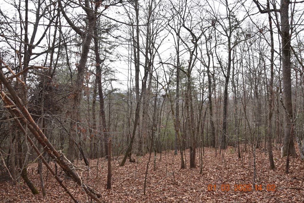 167 Swaims Road, Hayesville NC 28904 - Photo