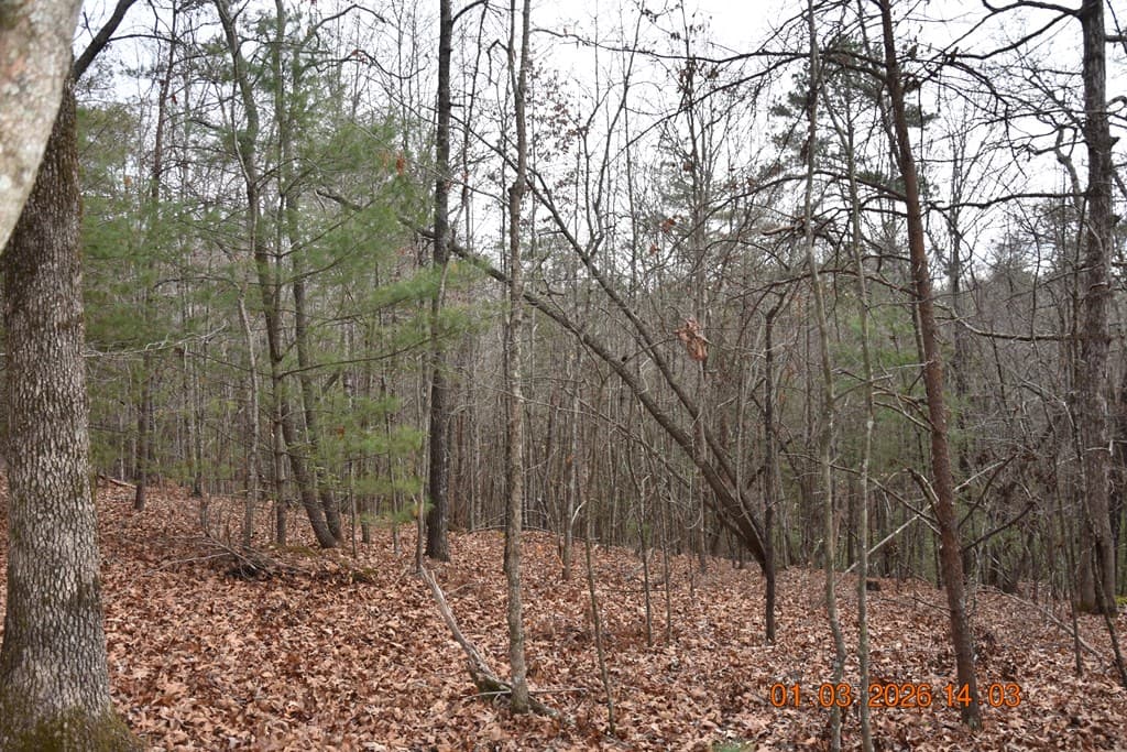 167 Swaims Road, Hayesville NC 28904 - Photo