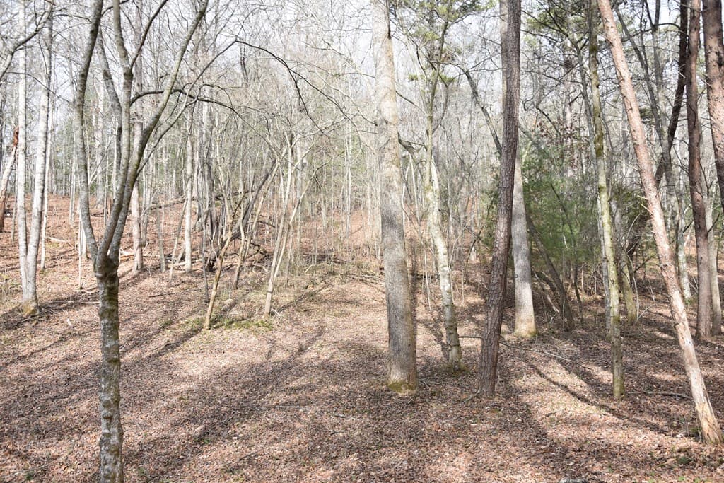 167 Swaims Road, Hayesville NC 28904 - Photo