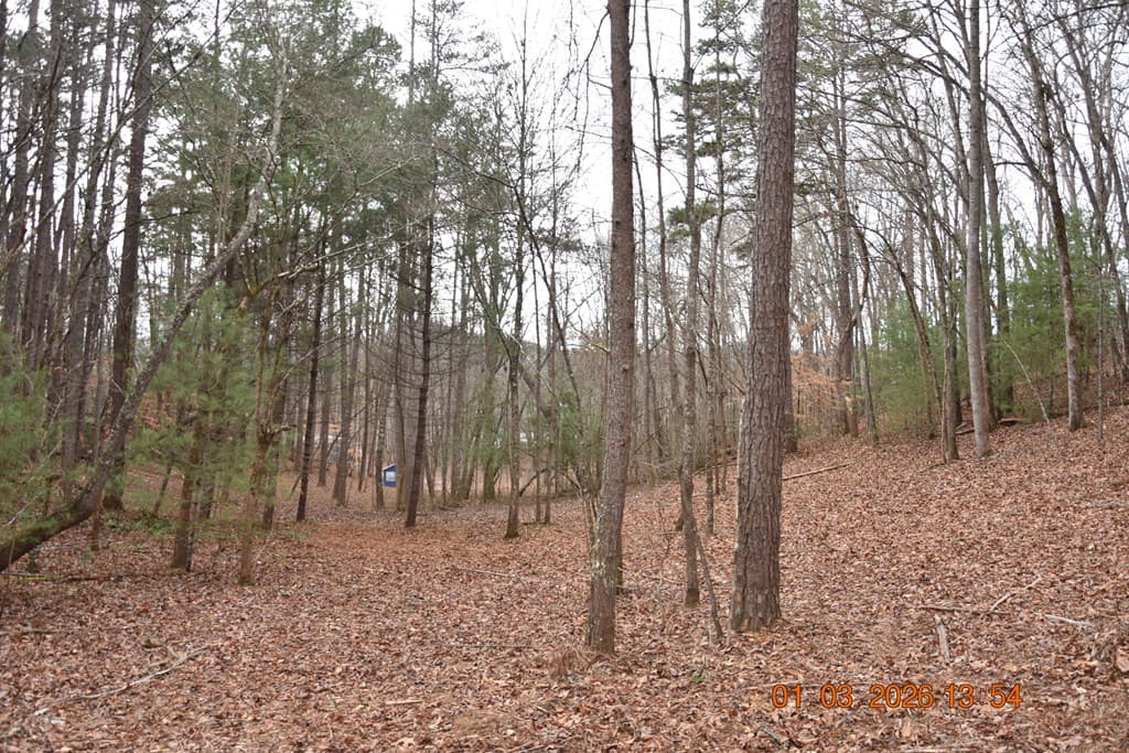 167 Swaims Road, Hayesville NC 28904 - Photo