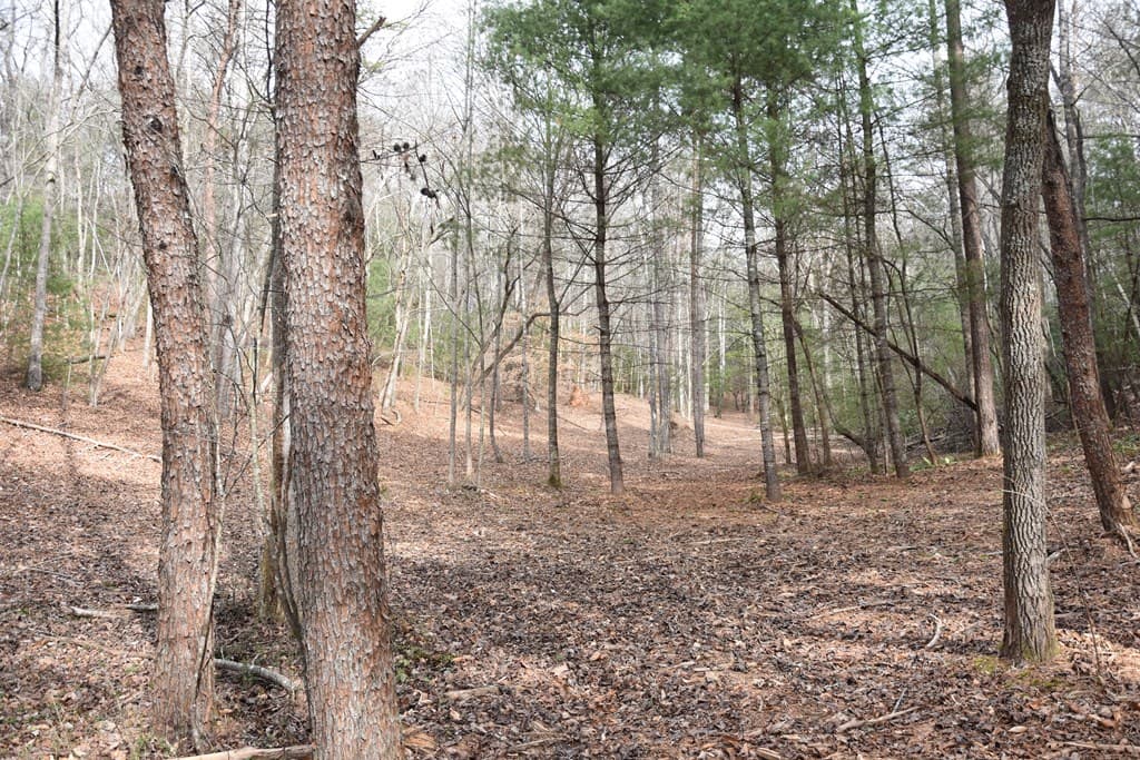 167 Swaims Road, Hayesville NC 28904 - Photo