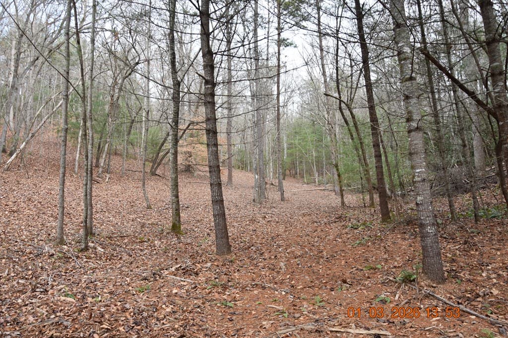 167 Swaims Road, Hayesville NC 28904 - Photo