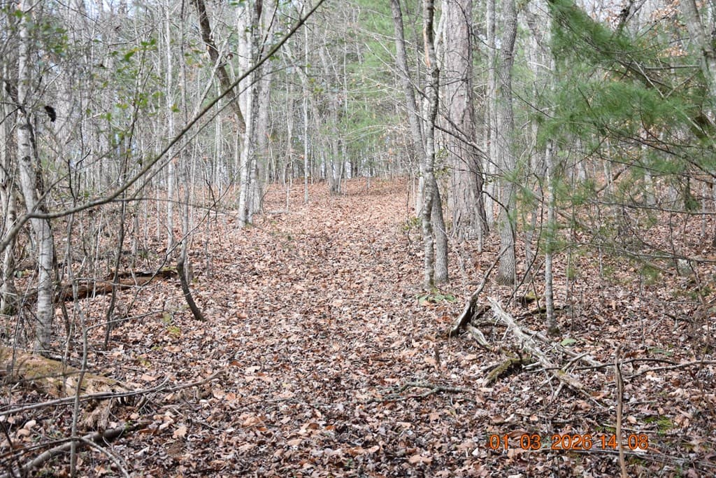 167 Swaims Road, Hayesville NC 28904 - Photo