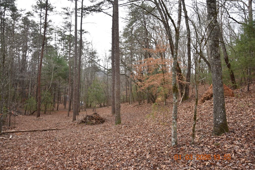 167 Swaims Road, Hayesville NC 28904 - Photo