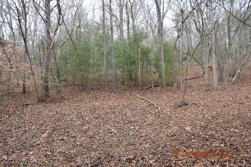 167 Swaims Road, Hayesville NC 28904 - Photo