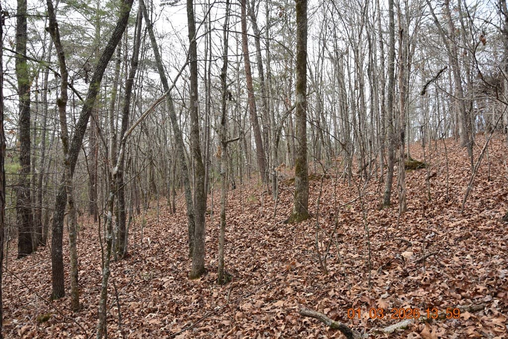 167 Swaims Road, Hayesville NC 28904 - Photo