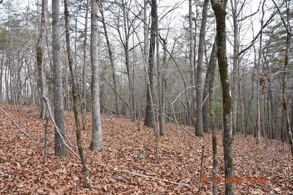 167 Swaims Road, Hayesville NC 28904 - Photo