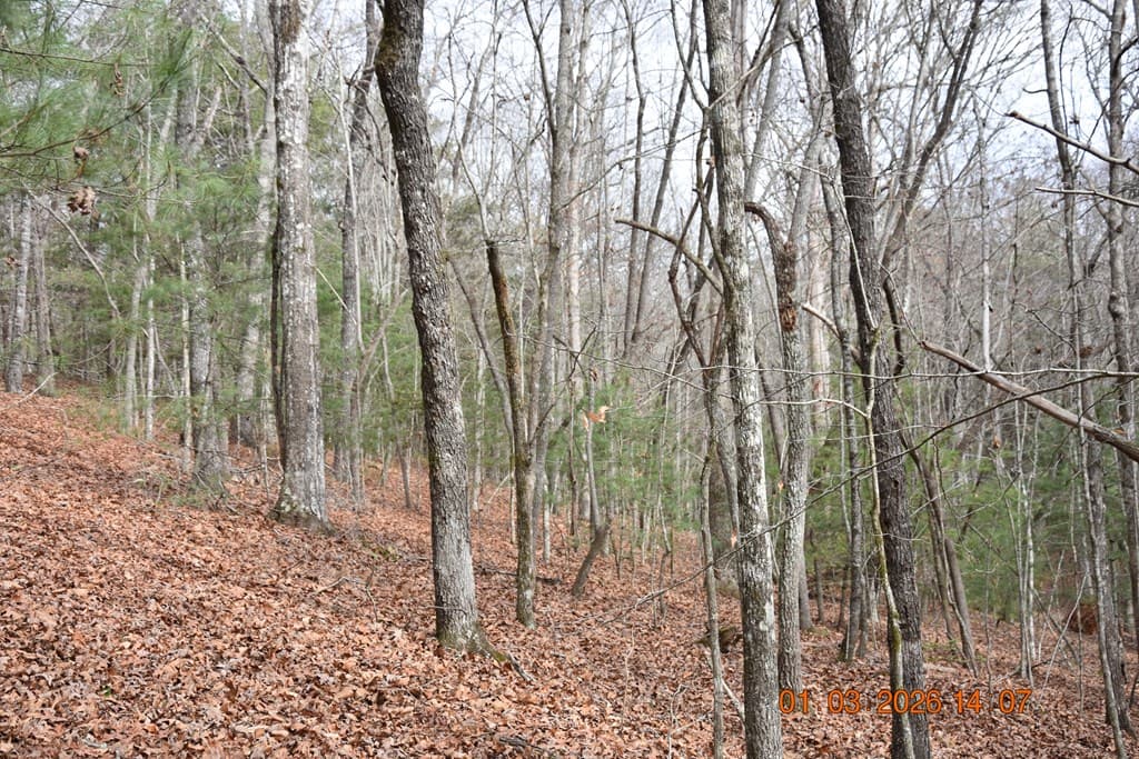167 Swaims Road, Hayesville NC 28904 - Photo