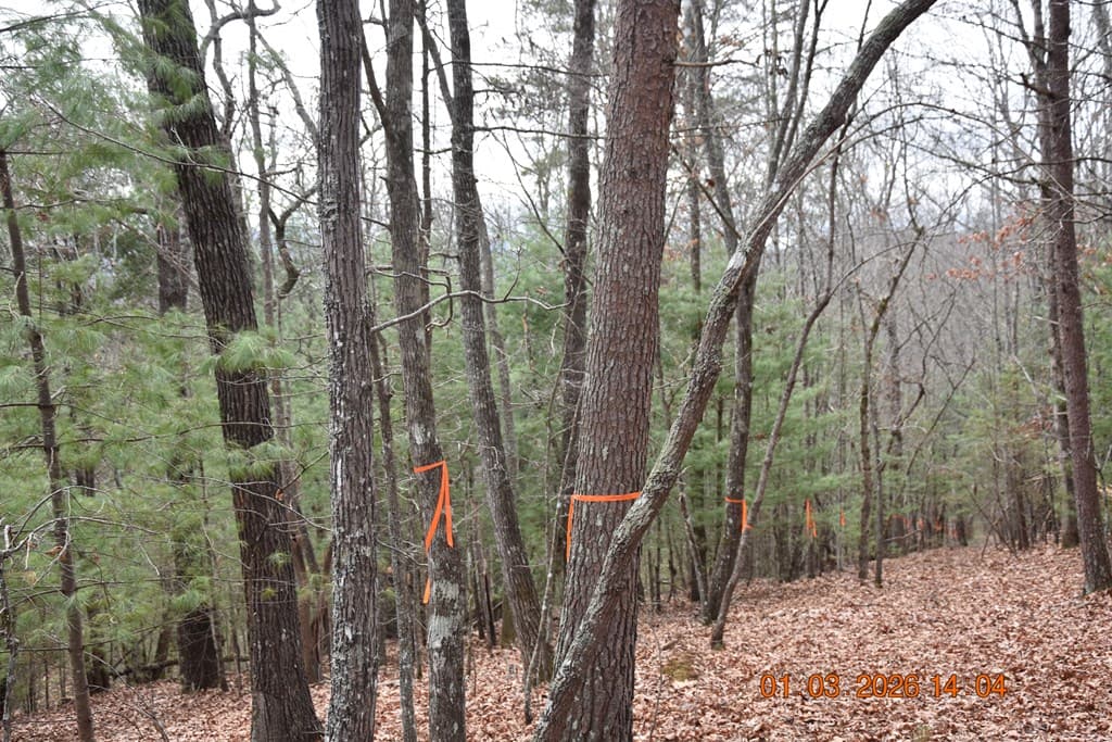 167 Swaims Road, Hayesville NC 28904 - Photo