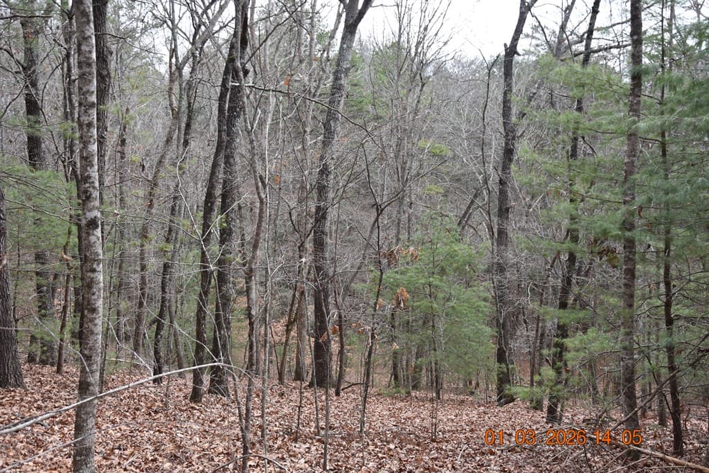 167 Swaims Road, Hayesville NC 28904 - Photo