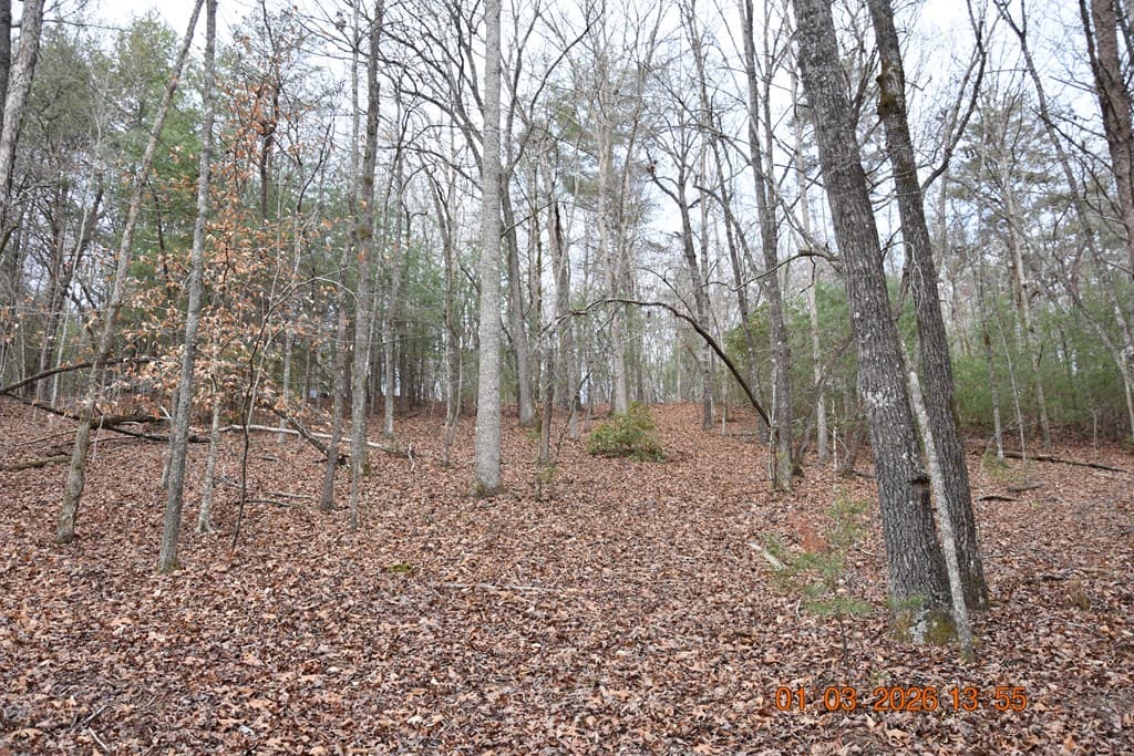 167 Swaims Road, Hayesville NC 28904 - Photo