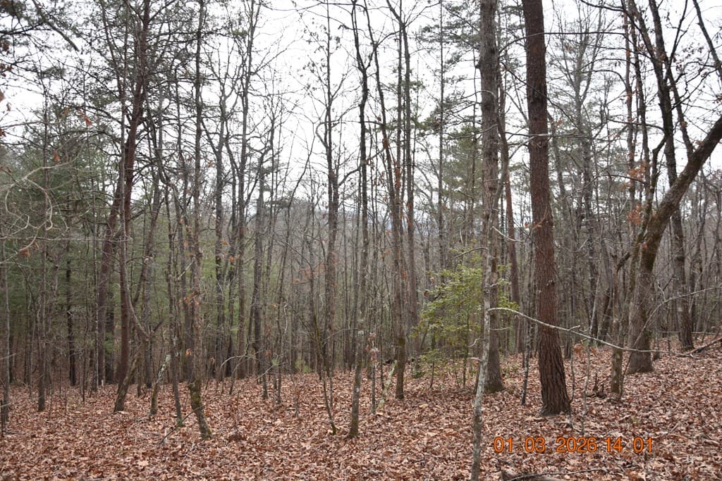 167 Swaims Road, Hayesville NC 28904 - Photo