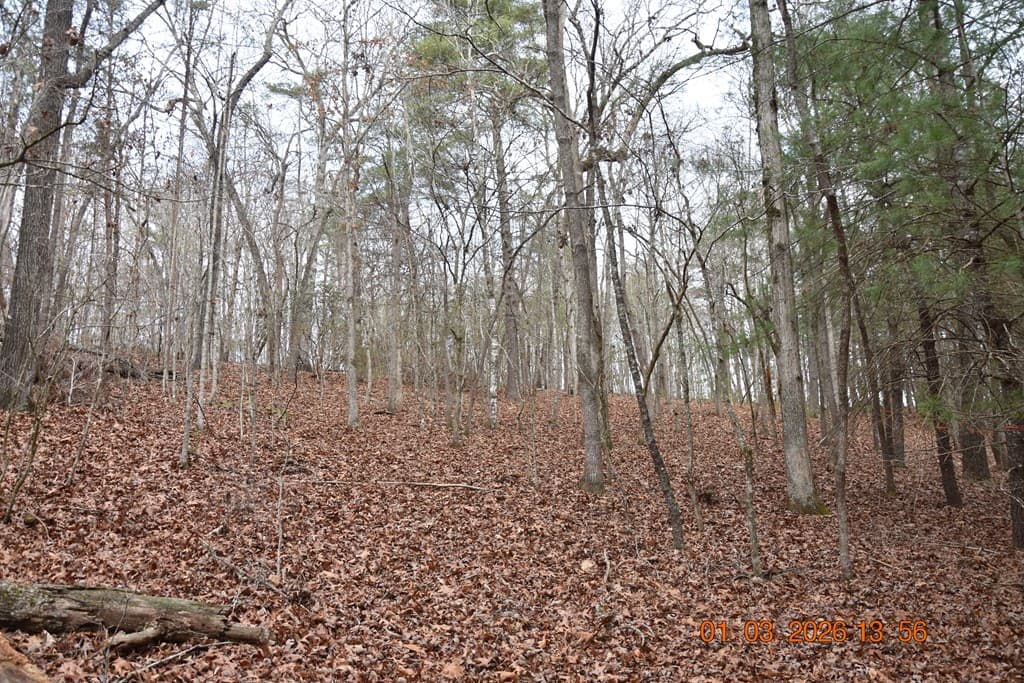 167 Swaims Road, Hayesville NC 28904 - Photo