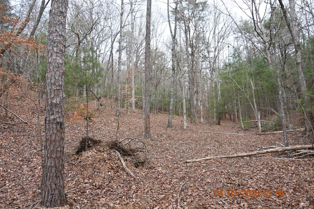 167 Swaims Road, Hayesville NC 28904 - Photo