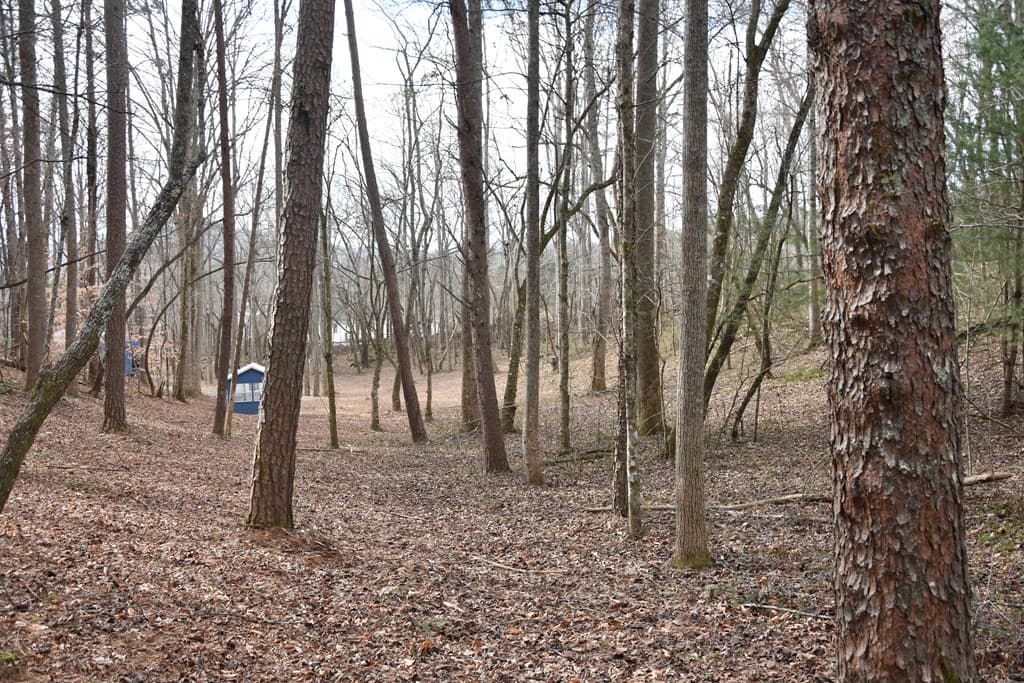 167 Swaims Road, Hayesville NC 28904 - Photo