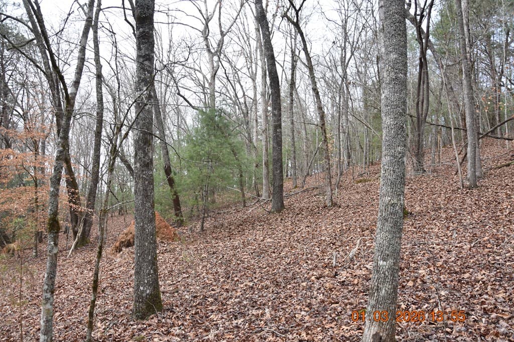 167 Swaims Road, Hayesville NC 28904 - Photo