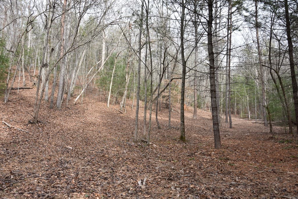 167 Swaims Road, Hayesville NC 28904 - Photo