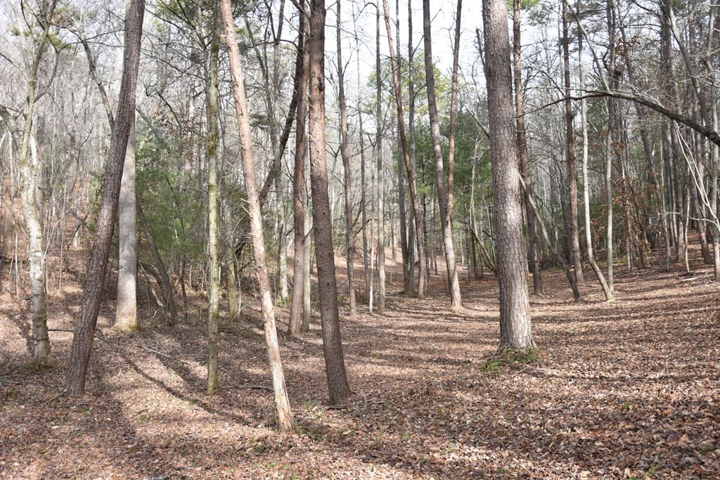 167 Swaims Road, Hayesville NC 28904 - Photo